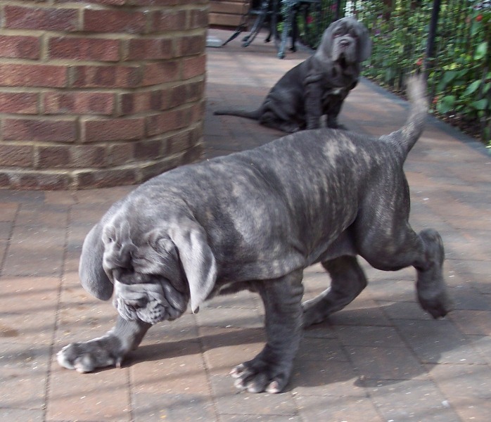 04 07 2007 035