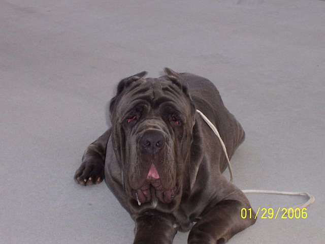 Lex13MonthsFront