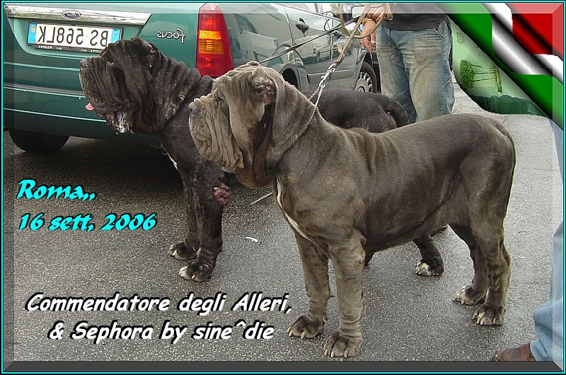 Sephora & Commendatore Roma 16 sett. 2006
