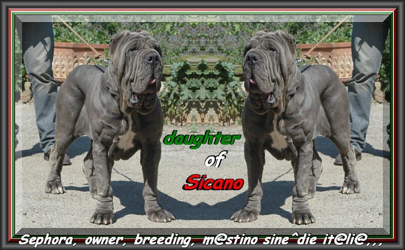 Sephora & Sephora. daughter of sine^die Sicano,,,