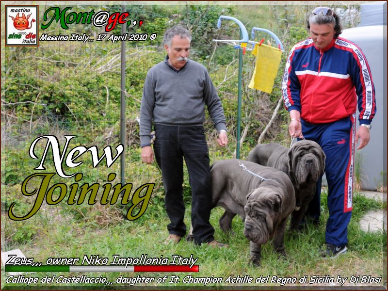 New Joining Zeus and Calliope,,