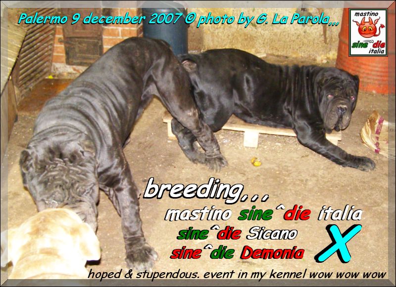 Joining sine^die Demonia x sine^die Sicano,,, 8 dicembre 2007,,