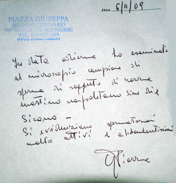 SICANO SEMEN EXAMINATION