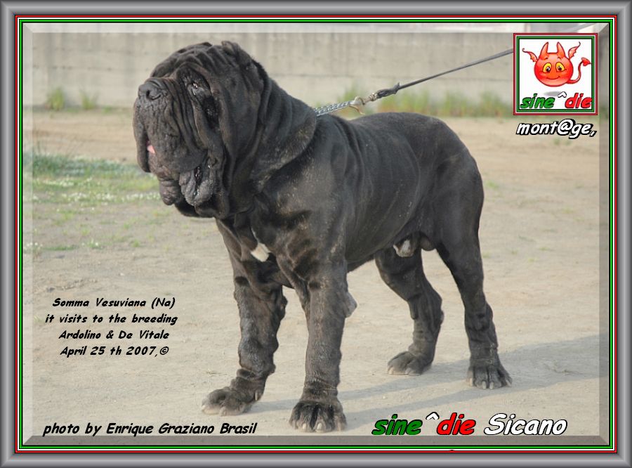 sine^die Sicano,,, photo by Enrique Graziano brasil,,,