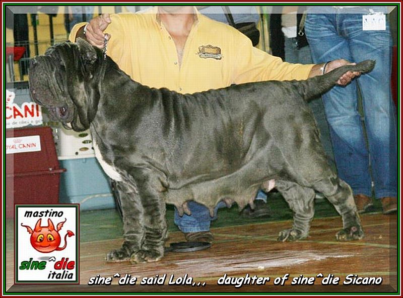 sine^die detta Lola,,,