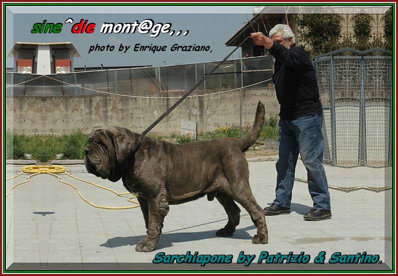 Sarchiapone,,, owner Patrizio & Santino,,, sine^die mont@ge photo by Enrique,,,