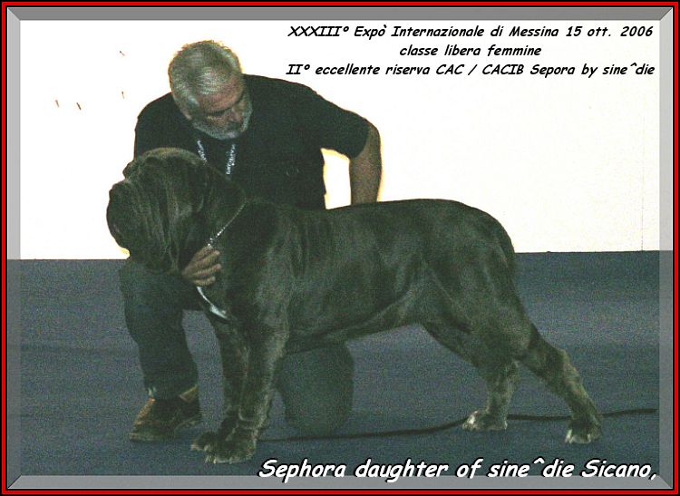 Sephora by sine^die II Res. CAC & CACIB ,,