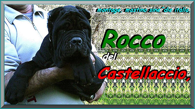 Rocco del Castellaccio, to 90 days,,
