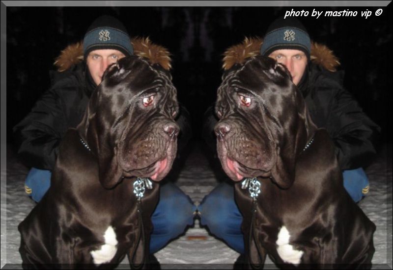 photo by mastino vip