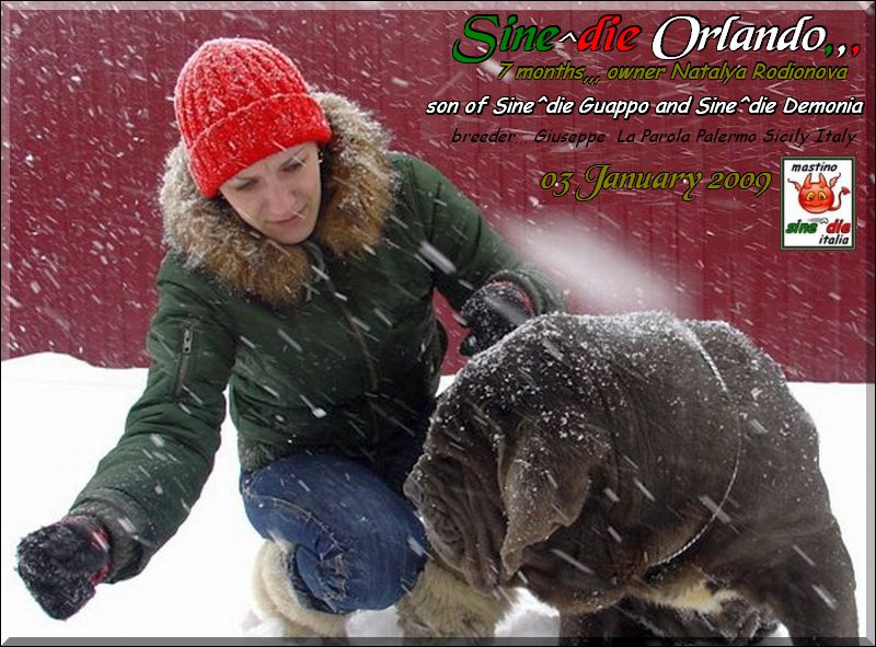 Sine^die Orlando 7 months,