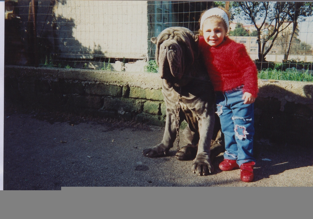 Immagine005