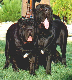 Nerone y Erika