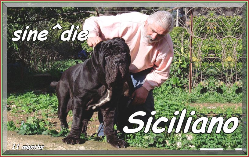 Siciliano by sine^die,,, 11 months