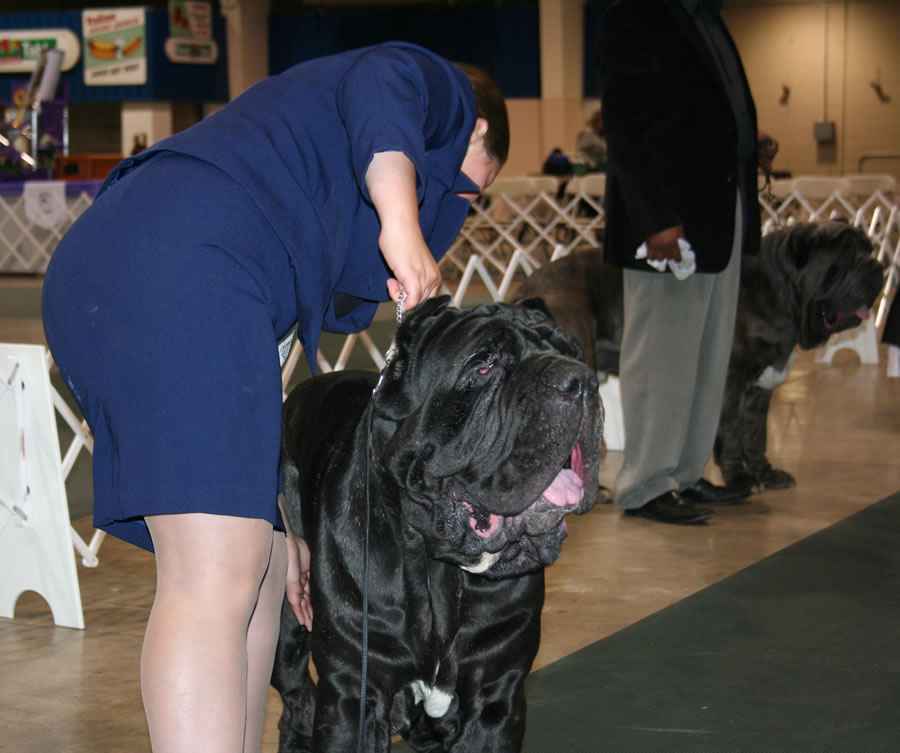 2010-Nationals-10