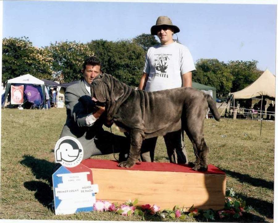 TERRREMOTO 15 meses