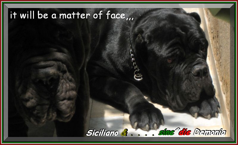sine^die mont@ge Siciliano & Demonia,,,
