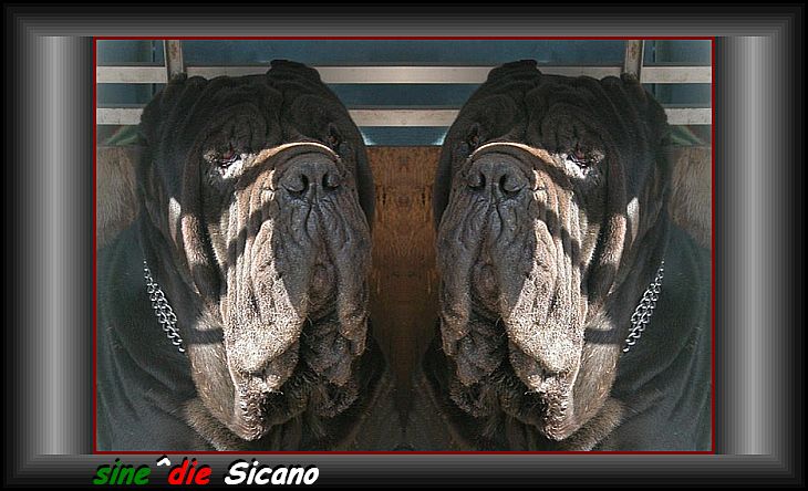 sine^die Sicano ok