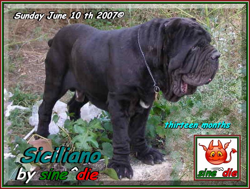 Siciliano by sine^die,,, Sunday. June 10 th 2007