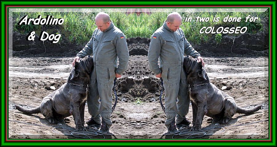 Ardolino,,, & Dog,,,