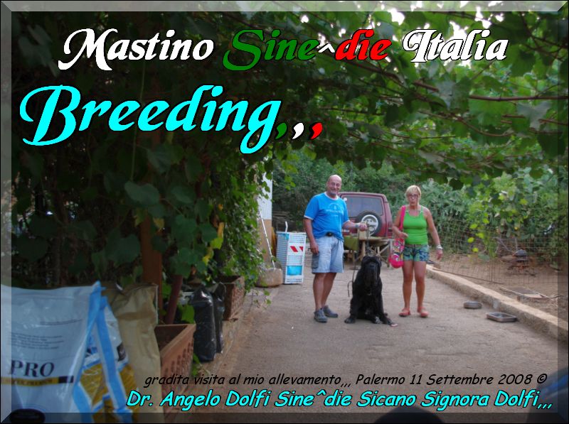 Angelo Dolfi,,, in visit my breeding,,, 11. 9. 2008,