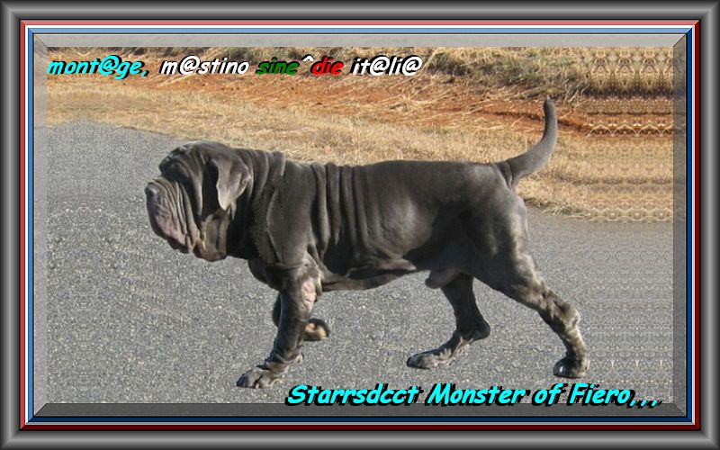Starrsdcct Monster of Fiero