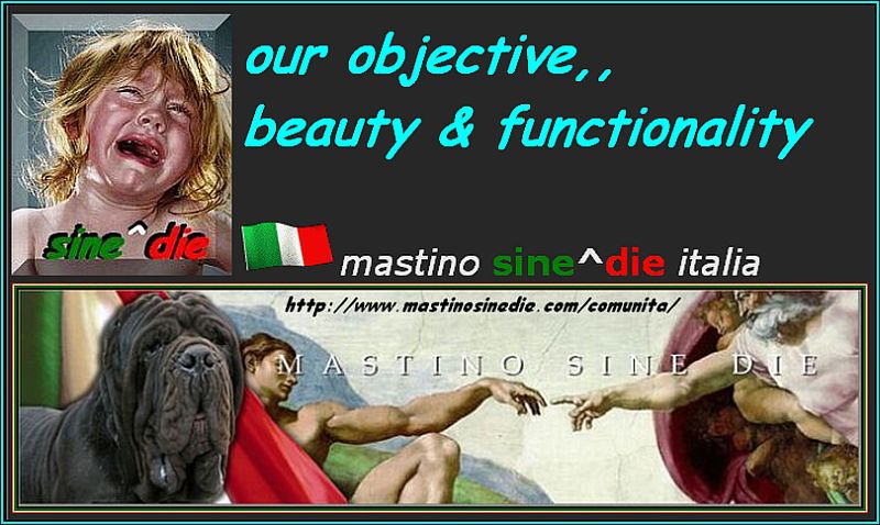 spot,,, mastino sine^die italia