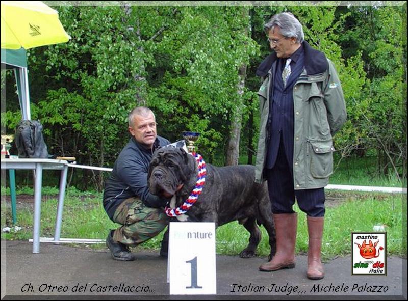 Ch. Otreo del Castellaccio,,, son of Sicano,
