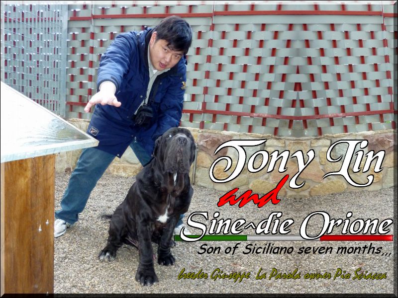 visita allevamento Sine^die and Tony,,,
