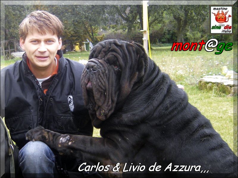 Carlos & Livio de Azzura
