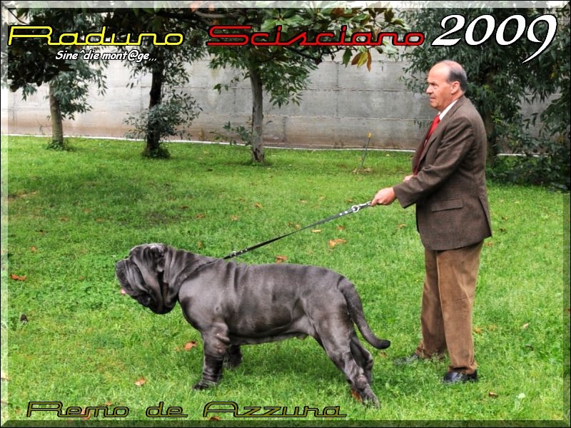 Remo de Azzura