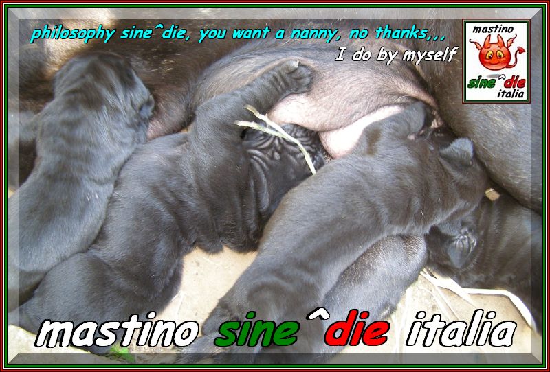 filosofia sine^die,,, allattamento,,,