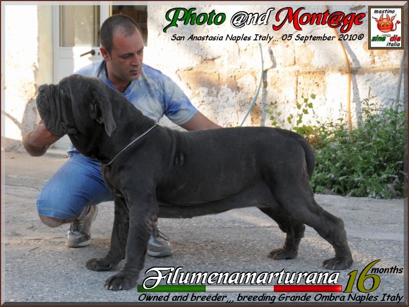Grande Ombra  with Tommaso.