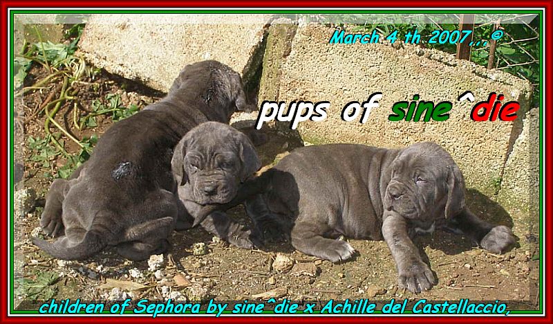 Children of sine^die Sephora by sine^die x Achille del Castellaccio,