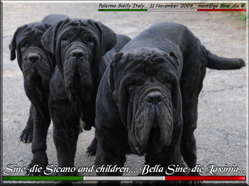 Sicano and children,