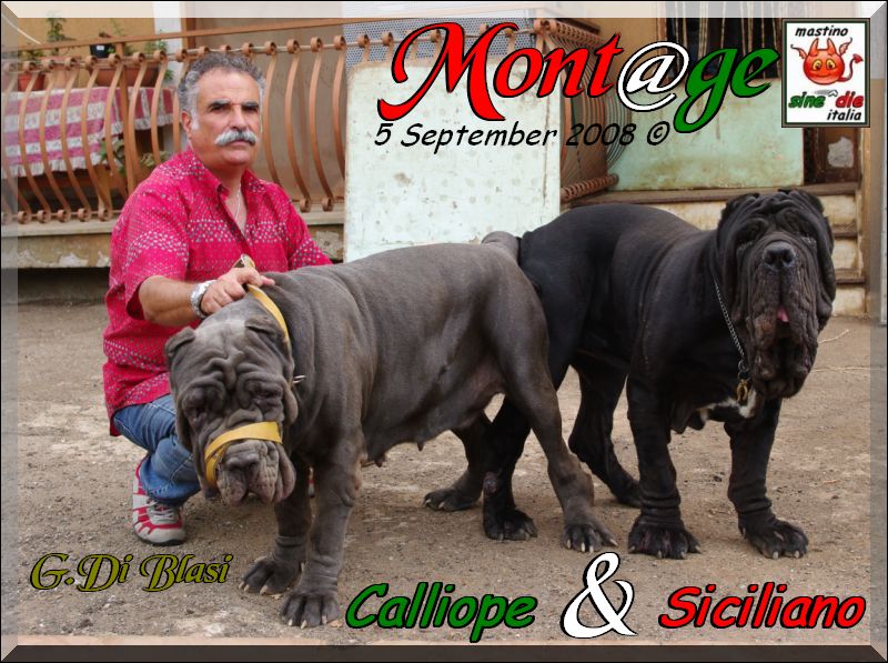 Joining,,, Siciliano & Calliope del Castellaccio by Di Blasi,,, 5 sept 08,,