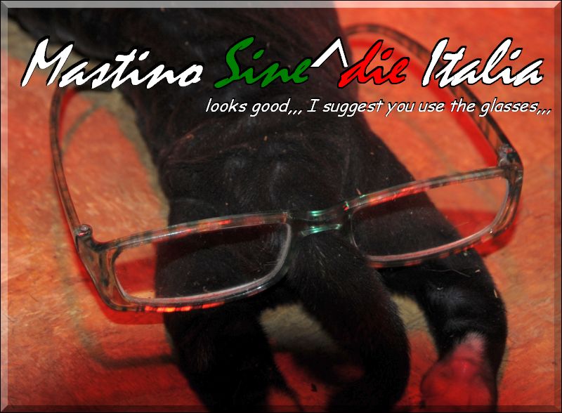 Sine^die by glasses