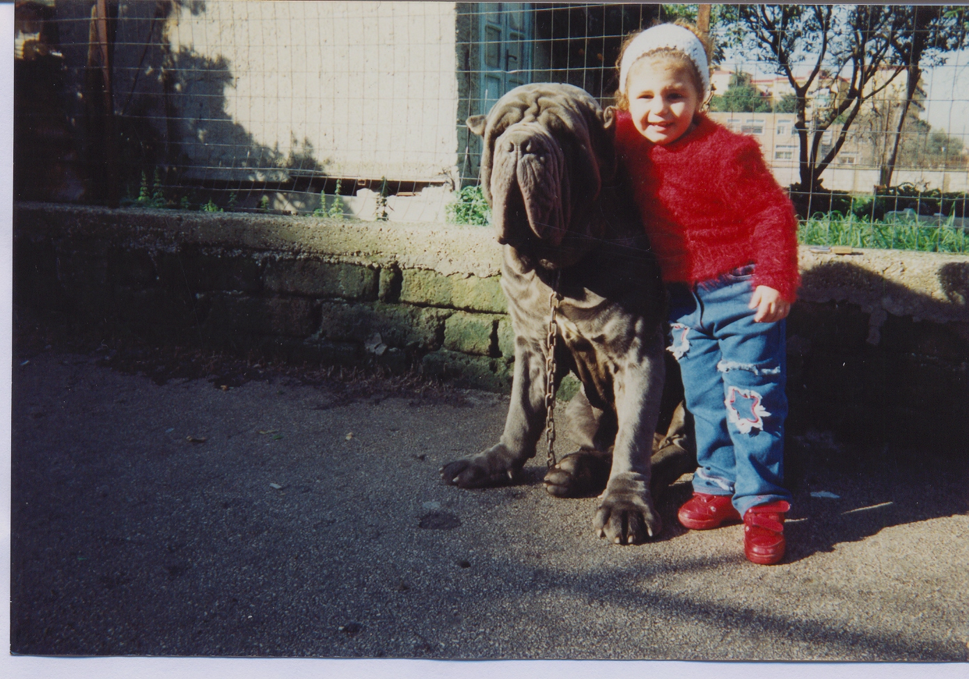 Immagine 005