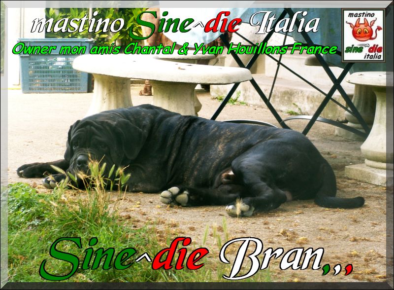 Sine^die Bran,,, proprietari Chantal & Yvan  Houillons France,,
