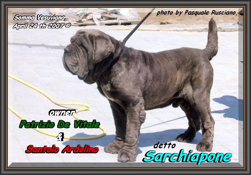 Sarchiapone,,, owner Patrizio & Santino,,, sine^die mont@ge,