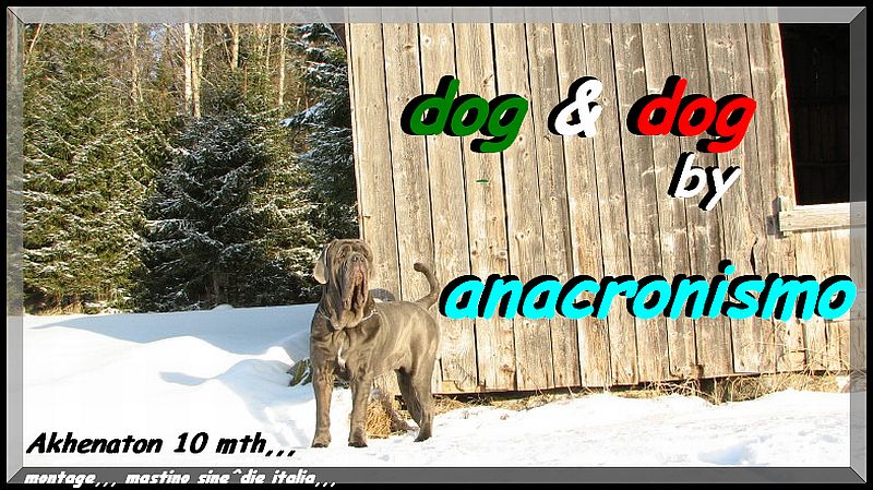 Akhenaton 10 mth by anacronismo sweden,,,