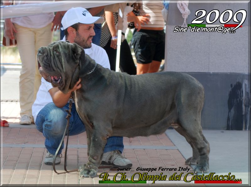 It. Ch. Olimpia del Castellaccio,,,