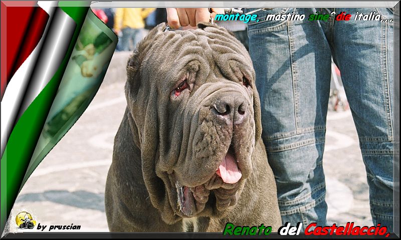 Renato del Castellaccio,,,