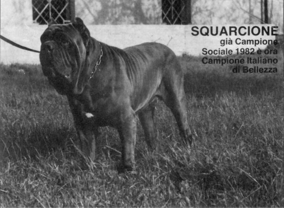 squarcioneCH82