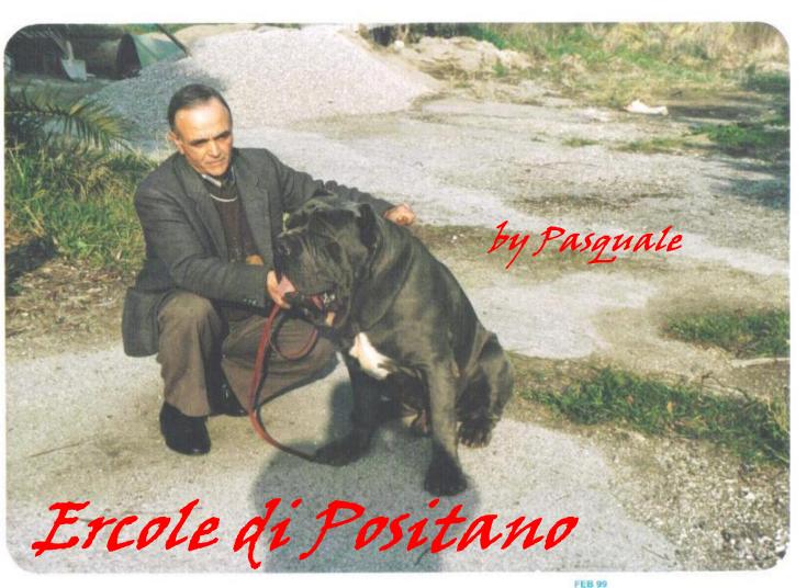 ercole di positano - 6