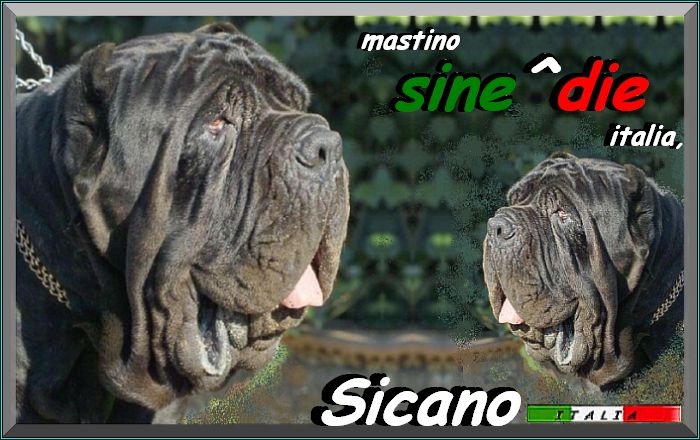 sine^die Sicano by Lorene Doppio