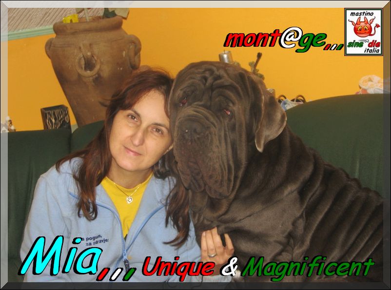 Mia Unique & Magnificient,,, mont@ge mastino sine^die italia,,,,
