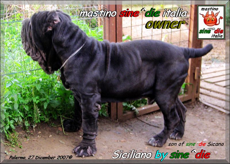 Siciliano by sine^die 27 dicembre 2007,,