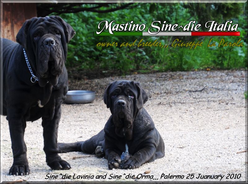 Sine^die Lavinia and Orma