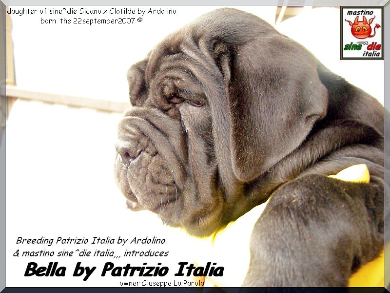 Bella by Patrizio Italia owner mastinosine^die italia