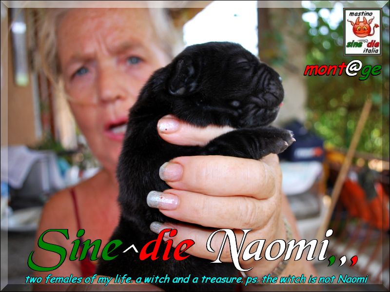 Sine^die Naomi,,, to a veek,